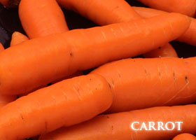f-carrot.jpg